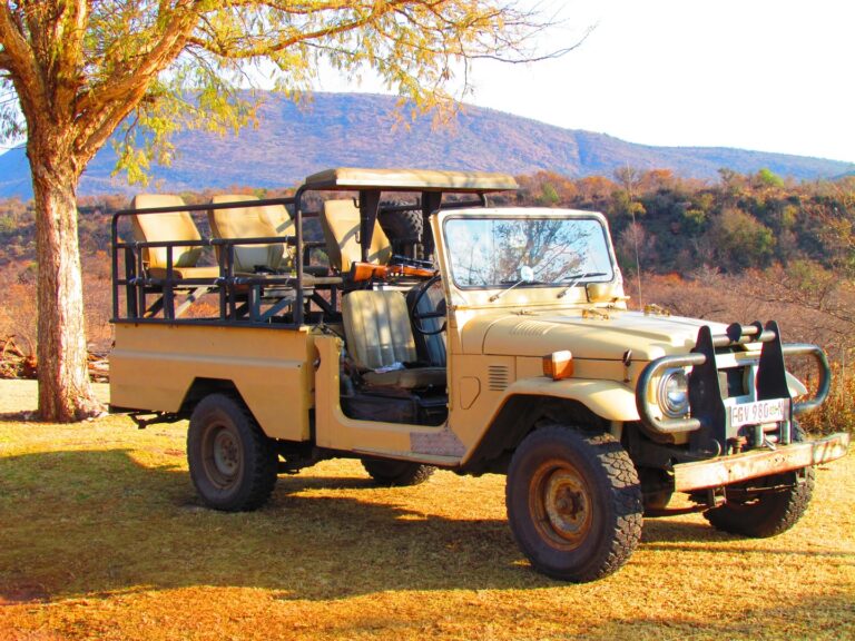 car-jeep-vehicle-africa-park-toyota-956169-pxhere.com