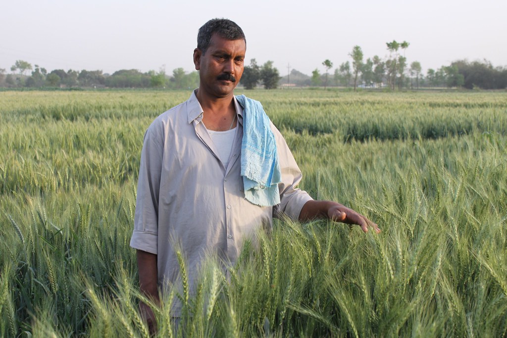 Indian Agriculture