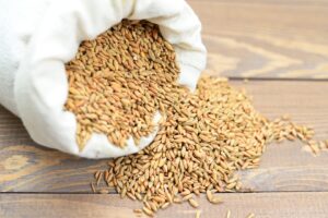 Seeds industry