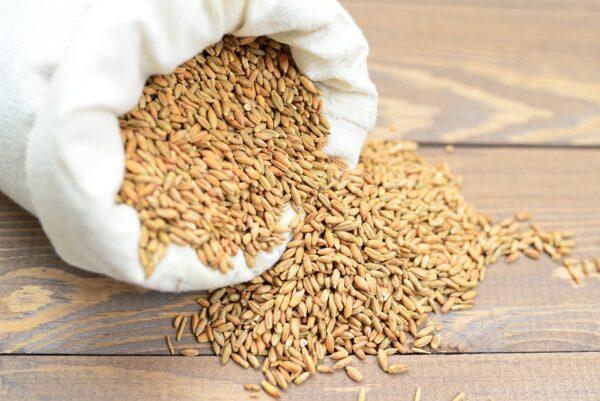 Seeds industry