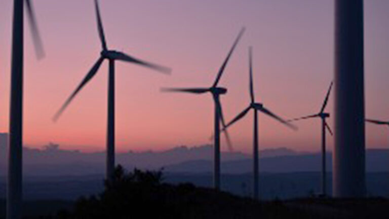 the role of parametric insurance in renewable energy